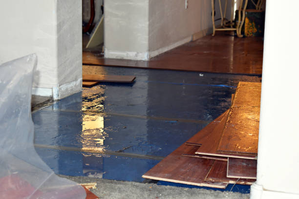 Professional Water Damage Restoration technician working in Macomb, IL